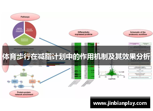 体育步行在减脂计划中的作用机制及其效果分析